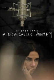  Пи Джей Харви: A Dog Called Money  смотреть онлайн бесплатно в хорошем качестве