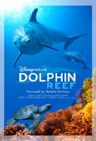 Дельфиний риф  смотреть онлайн бесплатно в хорошем качестве