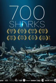  700 акул  смотреть онлайн бесплатно в хорошем качестве