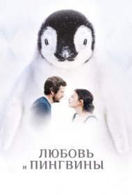  Любовь и пингвины  смотреть онлайн бесплатно в хорошем качестве