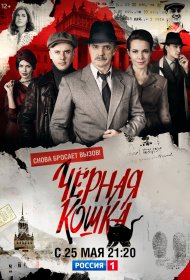 Чёрная кошка