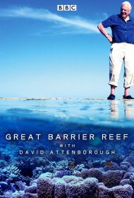  Большой барьерный риф с Дэвидом Аттенборо  смотреть онлайн бесплатно в хорошем качестве