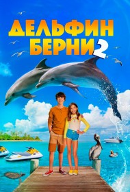  Дельфин Берни 2  смотреть онлайн бесплатно в хорошем качестве