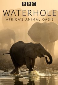  BBC. Водопой: Африканский Оазис для Животных  смотреть онлайн бесплатно в хорошем качестве