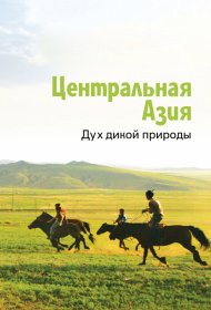  Центральная Азия. Дух дикой природы  смотреть онлайн бесплатно в хорошем качестве