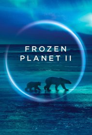  BBC. Замёрзшая планета 2  смотреть онлайн бесплатно в хорошем качестве