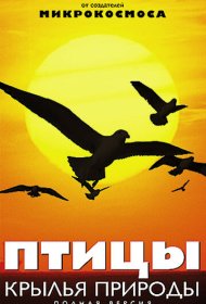 Птицы: Крылья природы