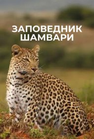 Заповедник Шамвари сериал смотреть онлайн бесплатно в хорошем качестве Заповедник Шамвари