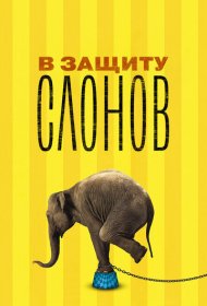 В защиту слонов фильм смотреть онлайн бесплатно в хорошем качестве В защиту слонов