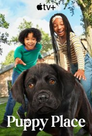  Торен: Возвращение к корням  смотреть онлайн бесплатно в хорошем качестве