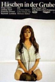  Заяц в норе  смотреть онлайн бесплатно в хорошем качестве