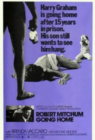  Иди домой  смотреть онлайн бесплатно в хорошем качестве