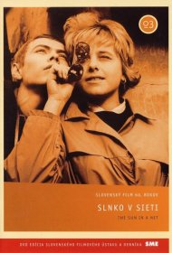 Солнце в сети