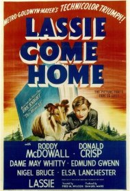  Лесси возвращается домой  смотреть онлайн бесплатно в хорошем качестве
