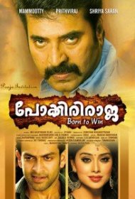  Неустрашимый Раджа  смотреть онлайн бесплатно в хорошем качестве