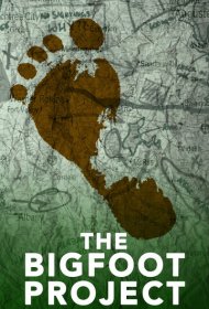  Проект «Снежный человек»  смотреть онлайн бесплатно в хорошем качестве