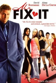 Мистер «Все исправим»